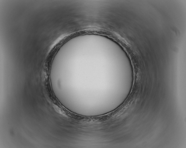 X0000111781400200908061105