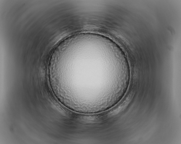 X0000111781401200908061105