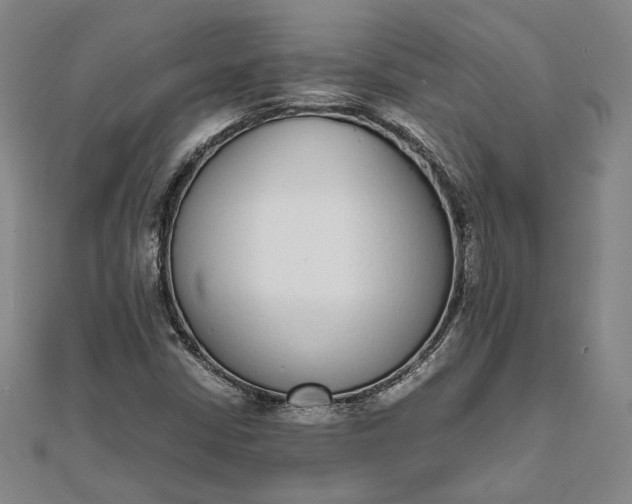 X0000111781402200908061105