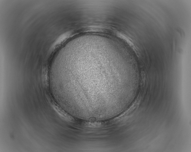 X0000111781403200908061105