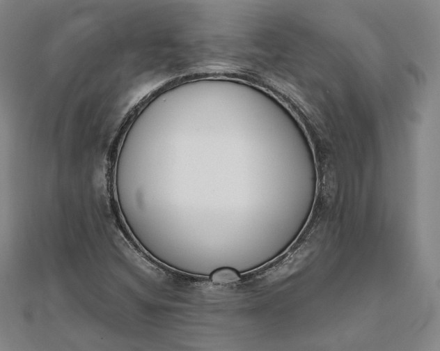 X0000111781404200908061105