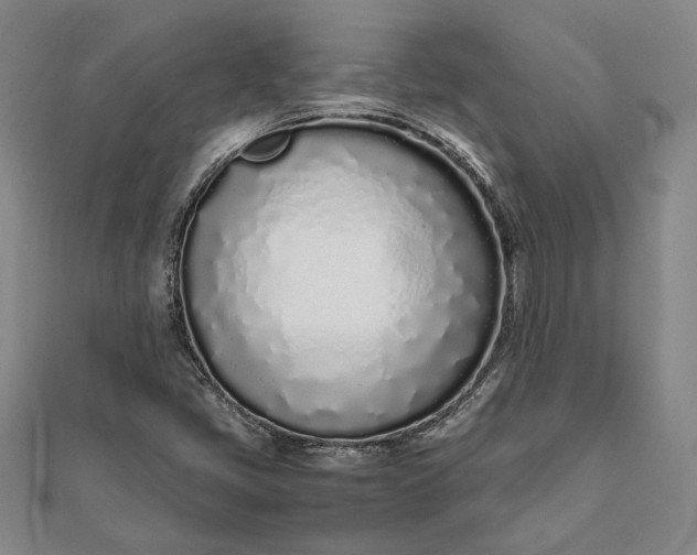 X0000111781405200908061105