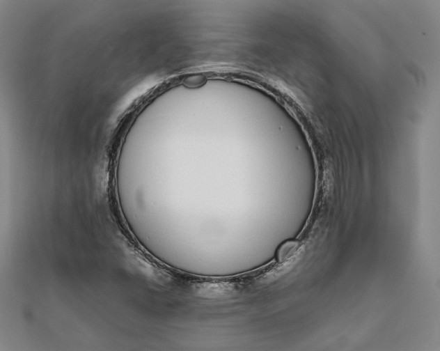 X0000111781406200908061105