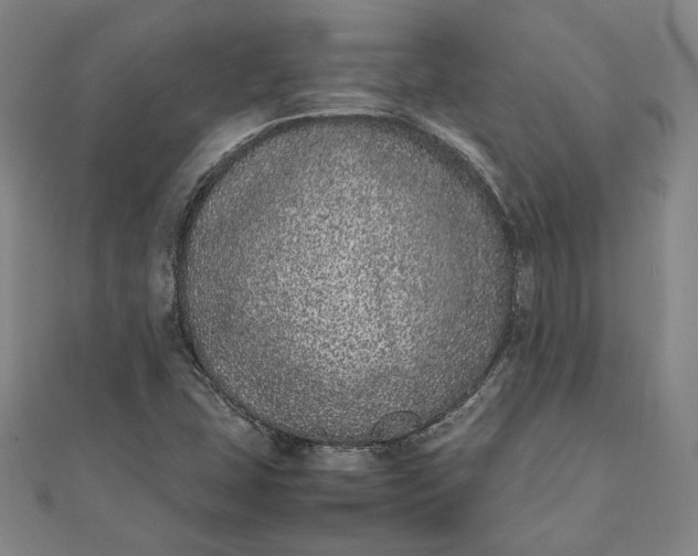 X0000111781407200908061105