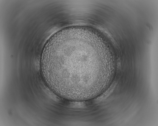 X0000111781409200908061105