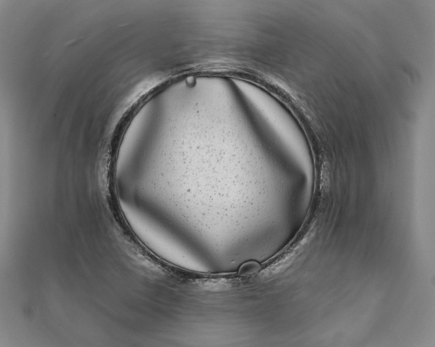 X0000111781410200908061105