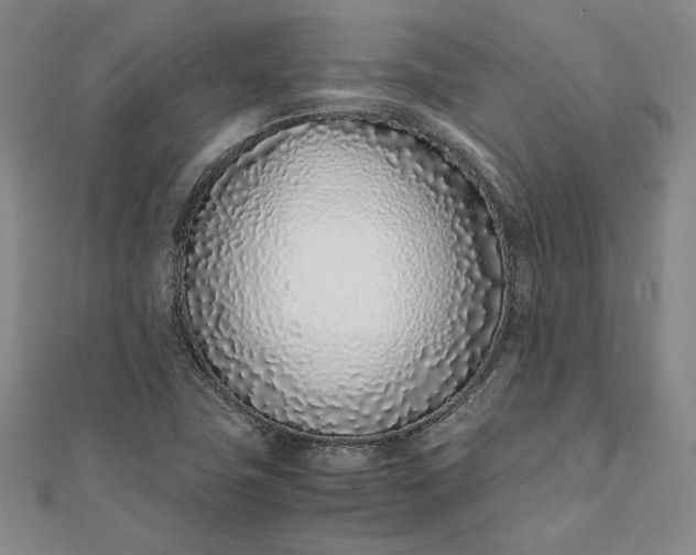 X0000111781411200908061105