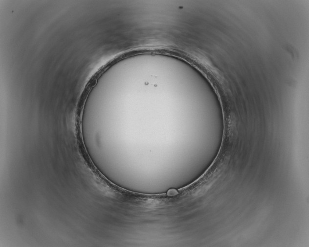 X0000111781412200908061105