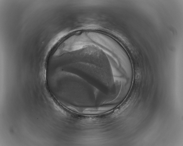 X0000111781414200908061105