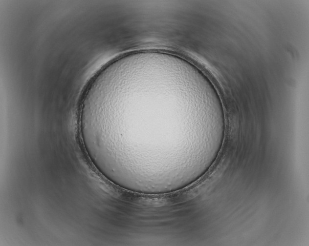 X0000111781415200908061105