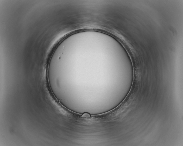 X0000111781416200908061105