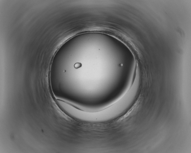 X0000111781417200908061105