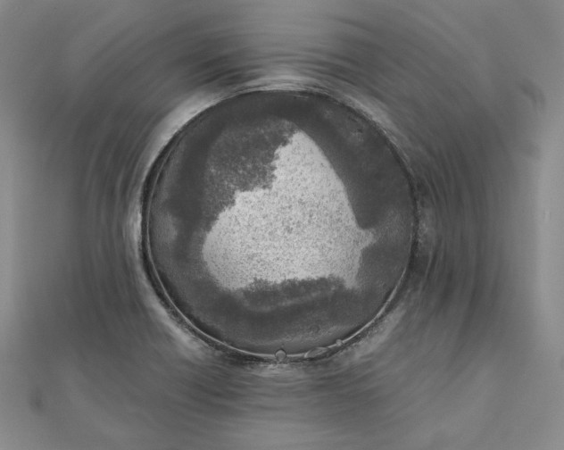 X0000111781418200908061105
