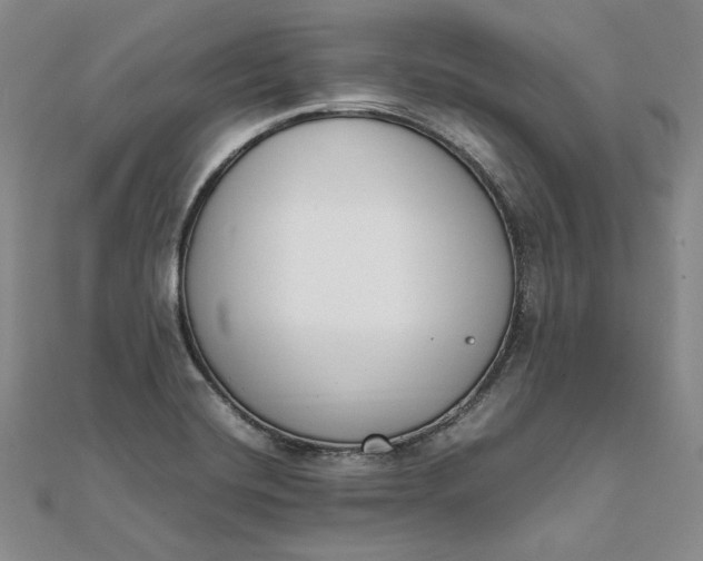 X0000111781420200908061105