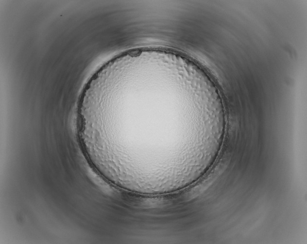 X0000111781421200908061105