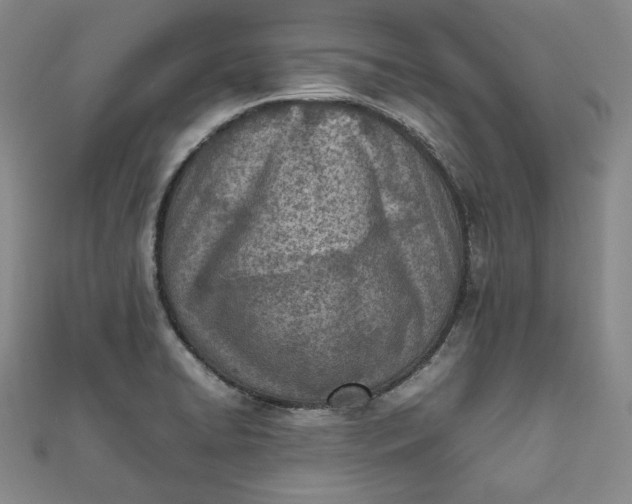X0000111781422200908061105