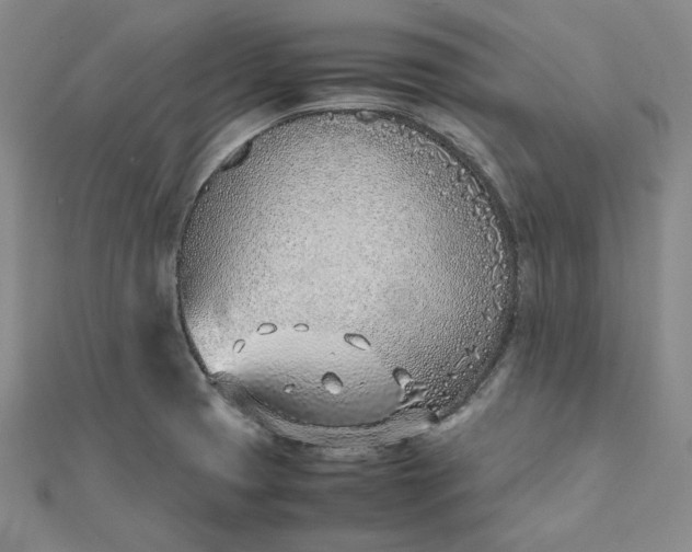 X0000111781425200908061105