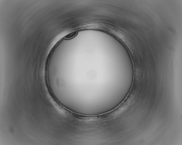 X0000111781426200908061105