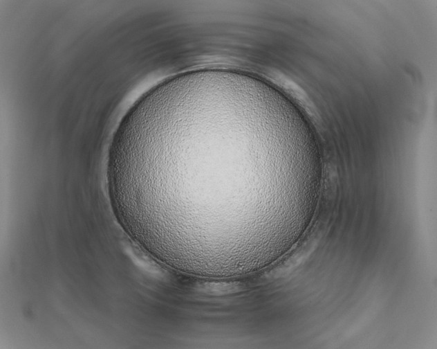 X0000111781427200908061105