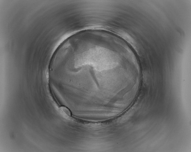 X0000111781428200908061105