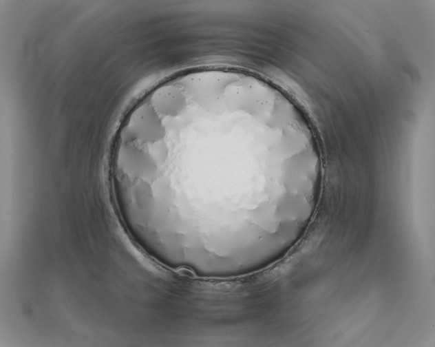 X0000111781429200908061105