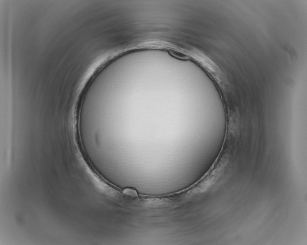 X0000111781430200908061105