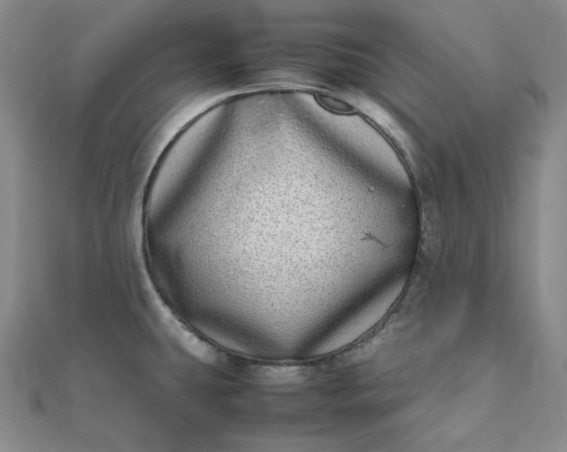 X0000111781431200908061105