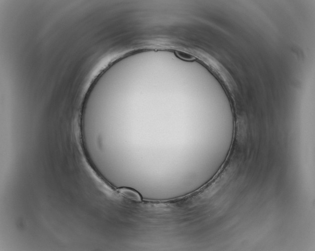 X0000111781432200908061105
