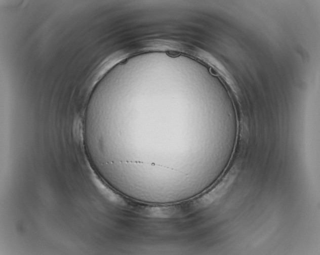 X0000111781433200908061105