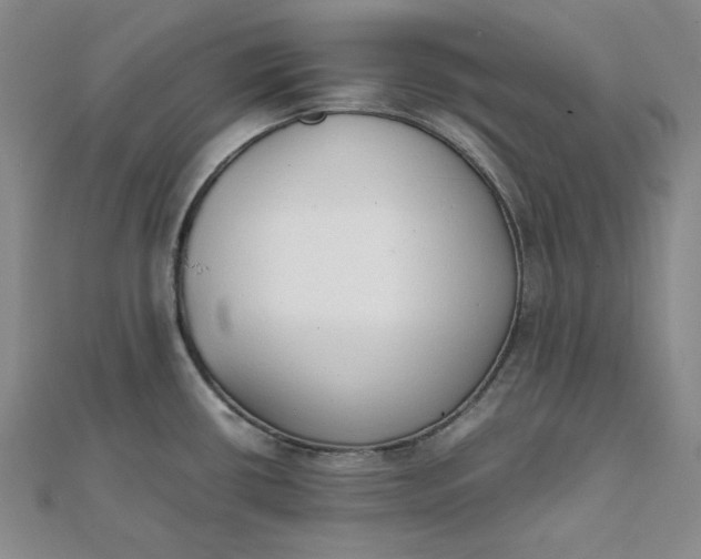 X0000111781434200908061105