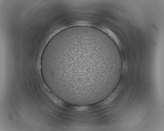 X0000111781435200908061105