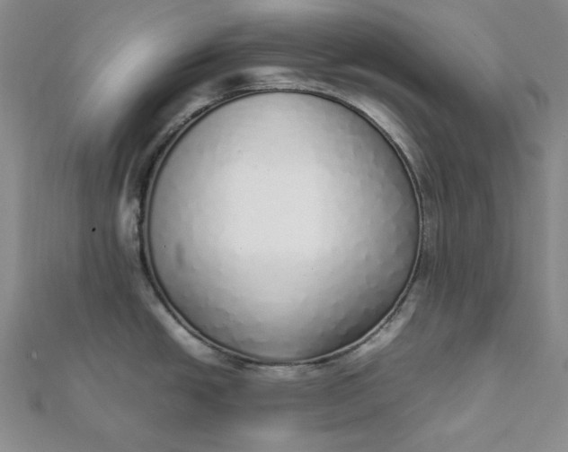 X0000111781438200908061105