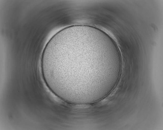 X0000111781440200908061105