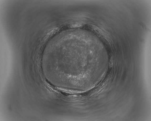 X0000111781441200908061105