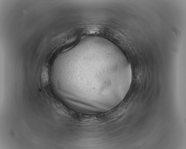 X0000111781442200908061105