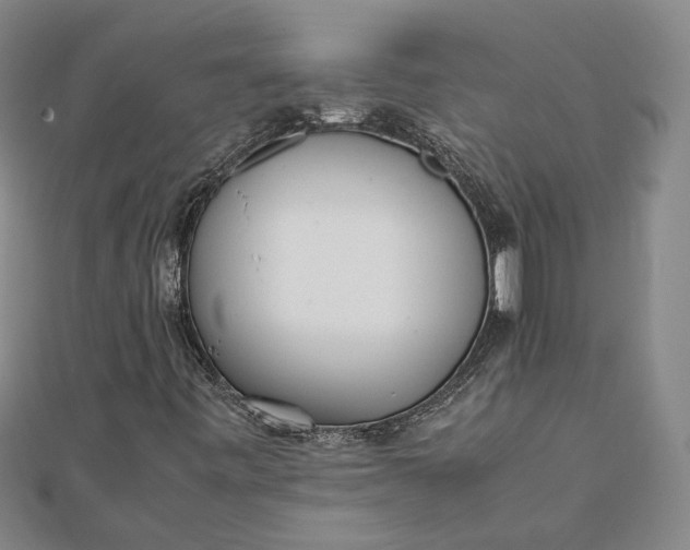 X0000111781443200908061105