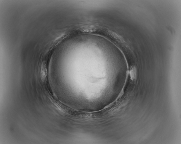 X0000111781444200908061105