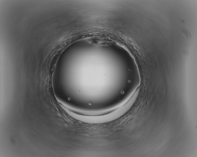 X0000111781445200908061105