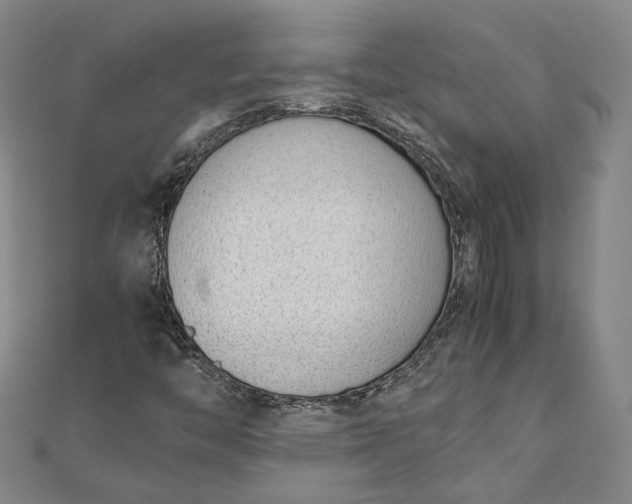 X0000111781446200908061105