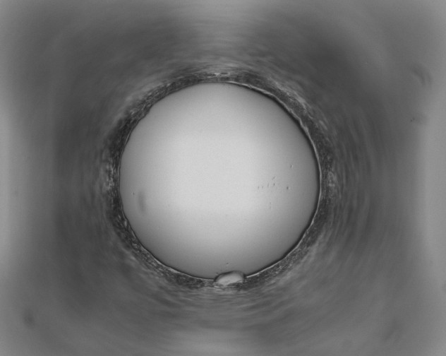 X0000111781447200908061105
