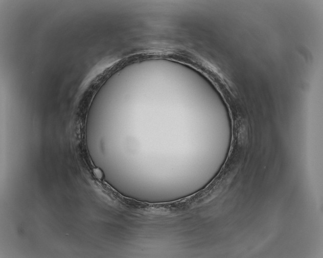X0000111781448200908061105