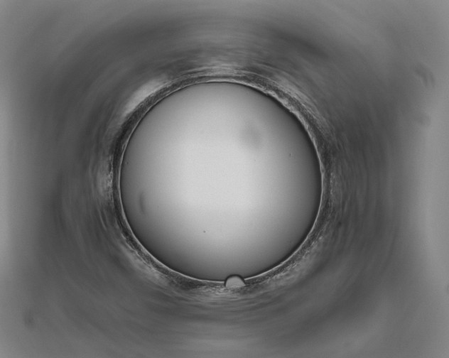 X0000111781450200908061105