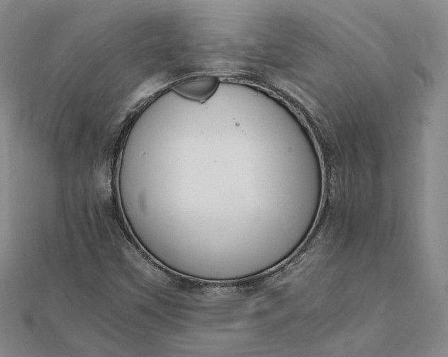 X0000111781451200908061105