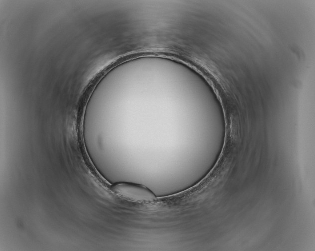 X0000111781452200908061105