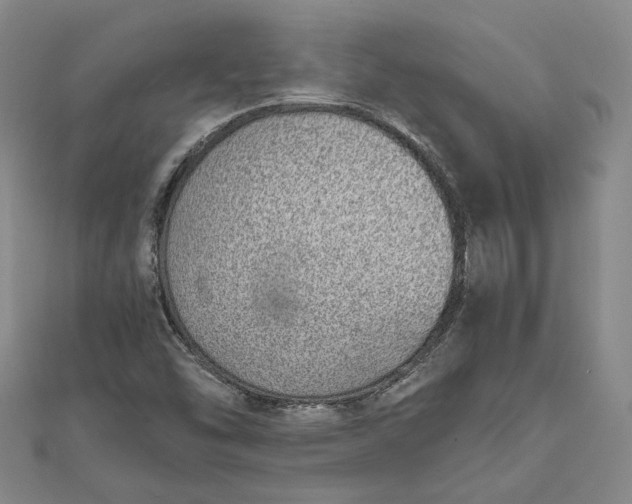 X0000111781454200908061105