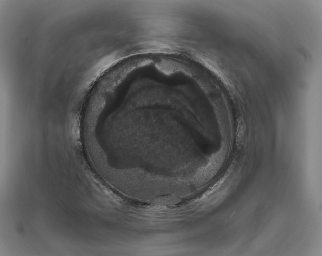 X0000111781455200908061105