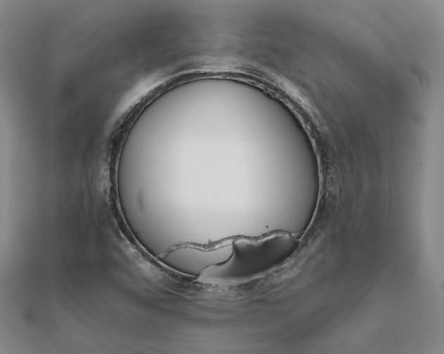 X0000111781456200908061105