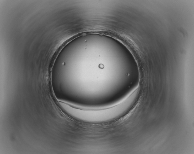 X0000111781457200908061105