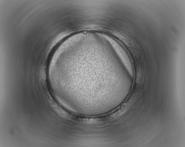 X0000111781458200908061105