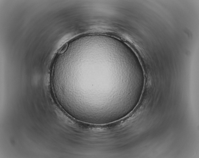 X0000111781459200908061105